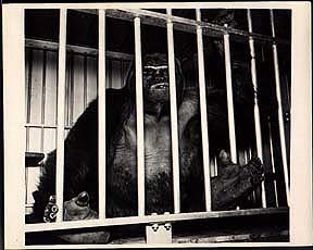 16a-6.jpg (17286 bytes)